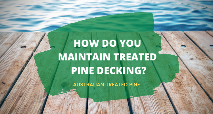 treated pine decking maintenance