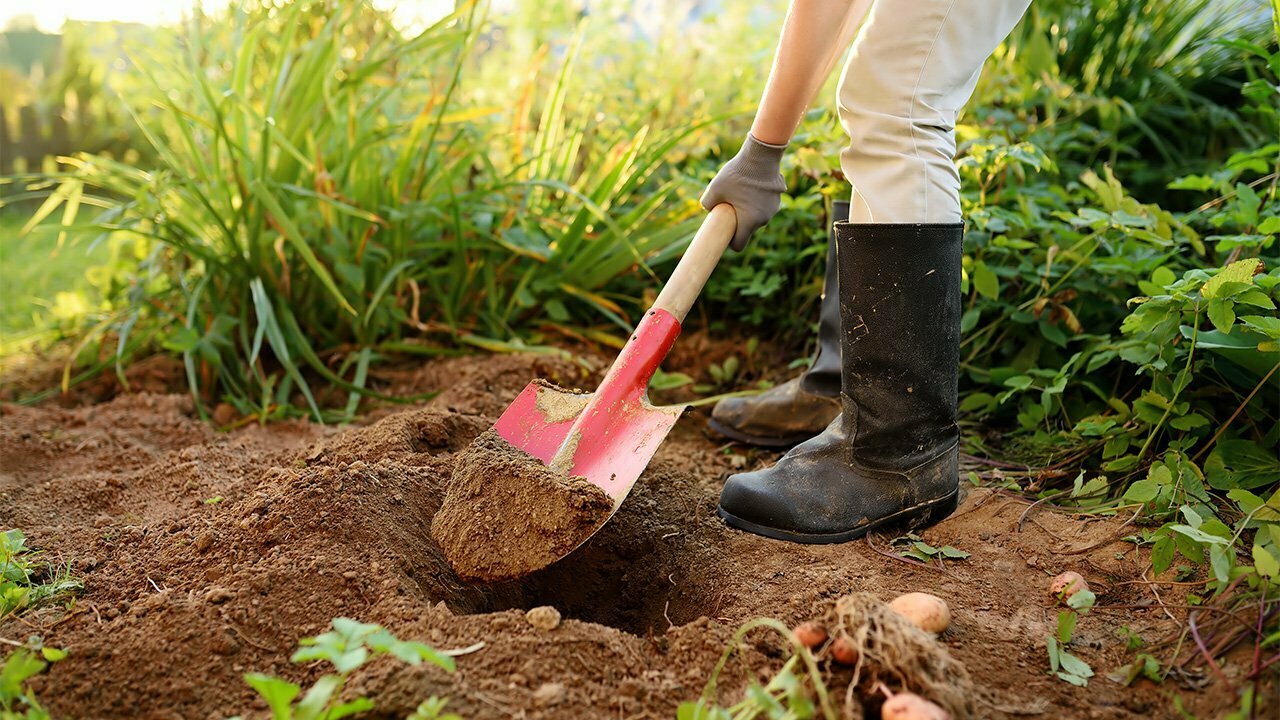 Before you dig