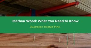 Merbau Wood Guide: Everything You Need to Know